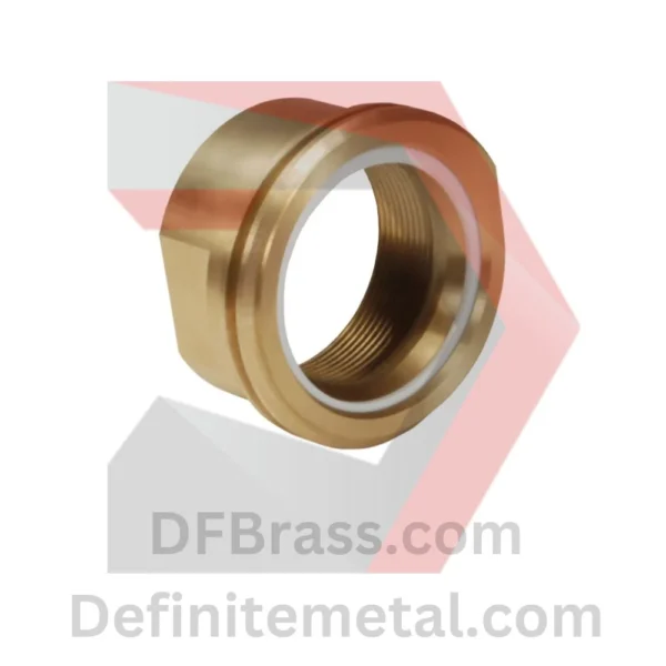 Brass LNG Coupling FNTP